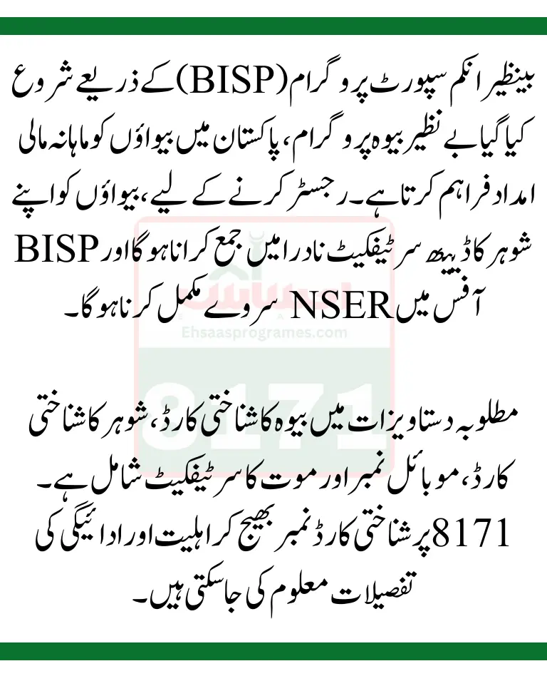 Benazir Widow Program