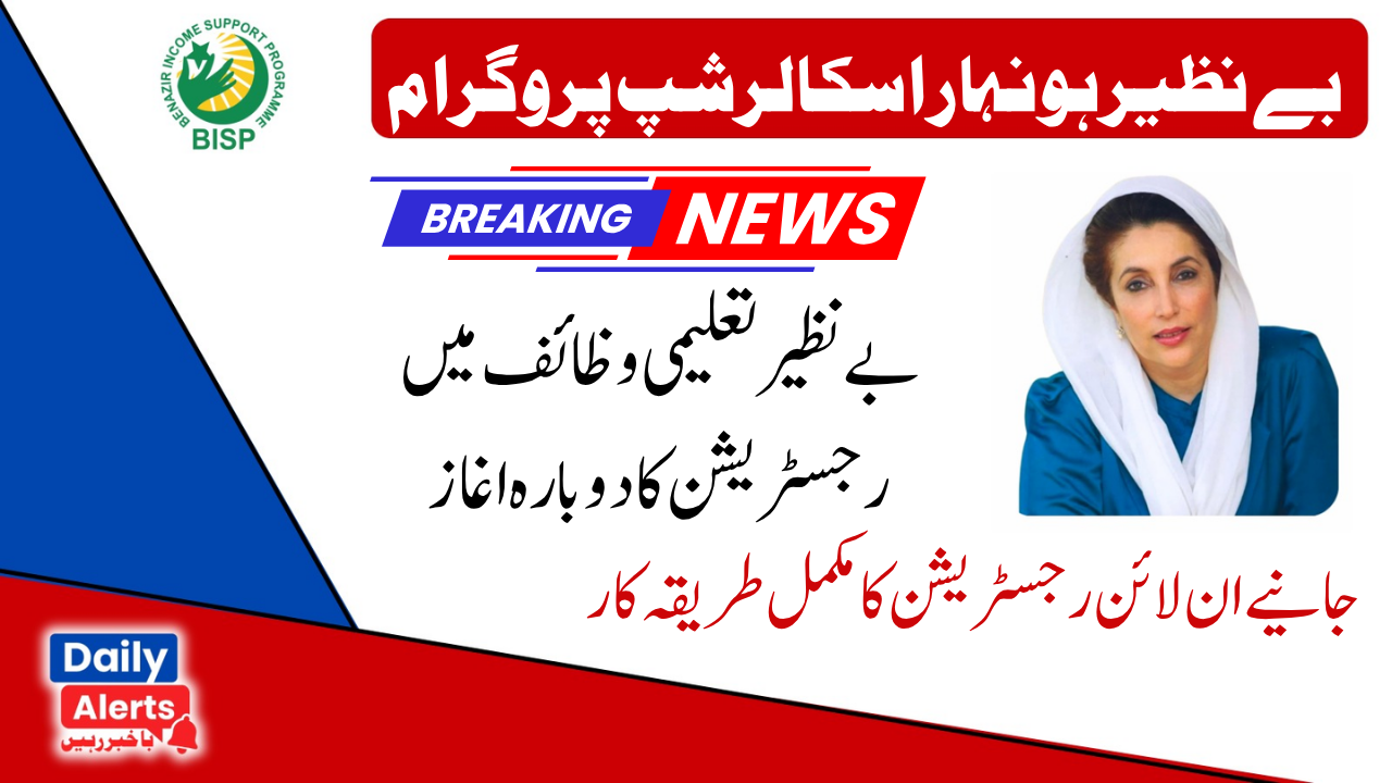 Benazir Taleemi Wazaif New School Verification Slip 2025