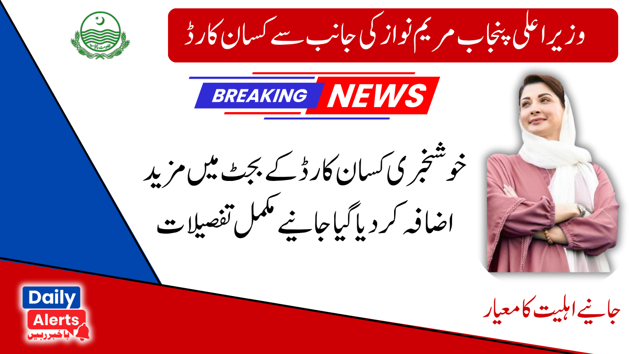 Complete Guide For CM Punjab Solar Panel Scheme Online Apply 